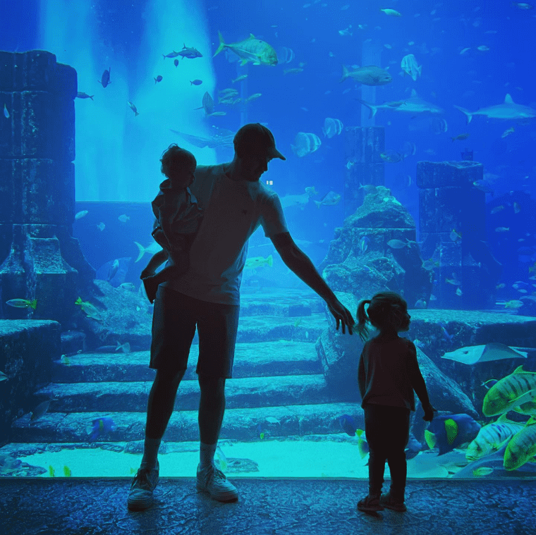 Tom, Ruby and Jack at an aquarium in Dubai