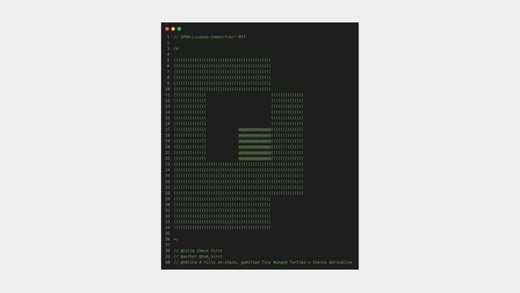 Check Turtz smart contract ASCII art.